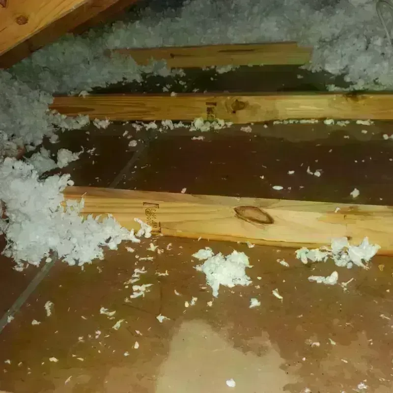 Attic Water Damage in Foothill Farms, CA